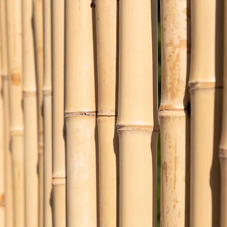 מלון & Astor אנטיב