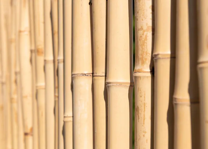 מלון & Astor אנטיב